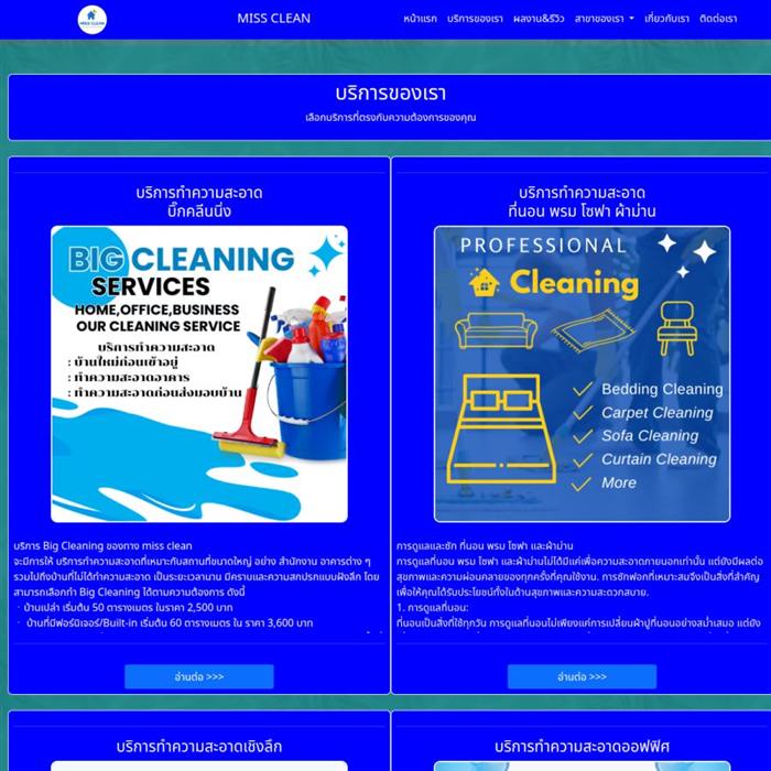 ผลงานเว็บไซต์ Cleaning Pro Services